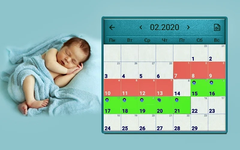 На какой день можно. Календарь овуляции. Календарь овуляции для зачатия. Зачать мальчика по овуляции. Зачатие мальчика по овуляции.
